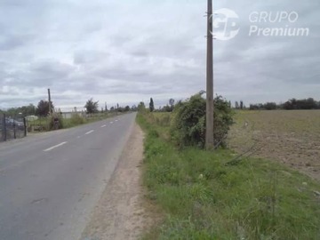 Venta / Terreno Agricola / Longaví