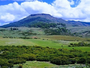 Venta / Terreno Agricola / Lonquimay