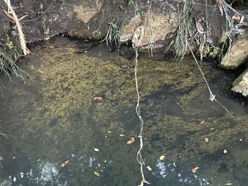 Venta / Terreno Agricola / Los Ángeles