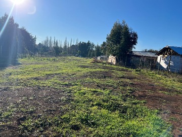 Imagen 10