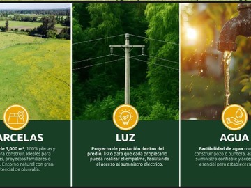Imagen 7
