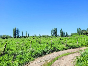Venta / Terreno Agricola / Los Ángeles