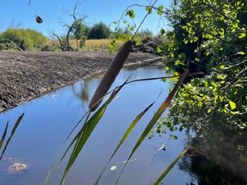 Venta / Terreno Agricola / Los Ángeles