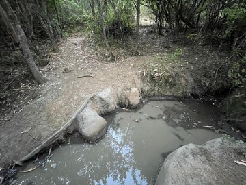 Imagen 21