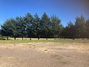 Venta / Terreno Agricola / Los Ángeles