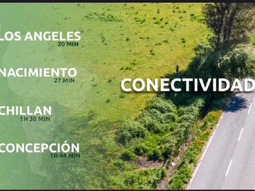 Imagen 8