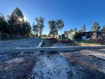 Imagen 21