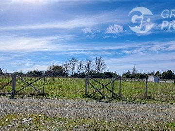 Venta / Terreno Agricola / Los Ángeles