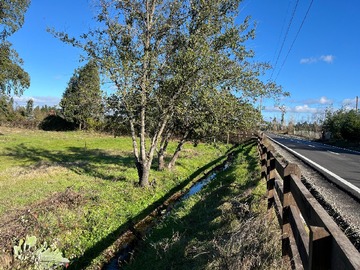 Venta / Terreno Agricola / Los Ángeles