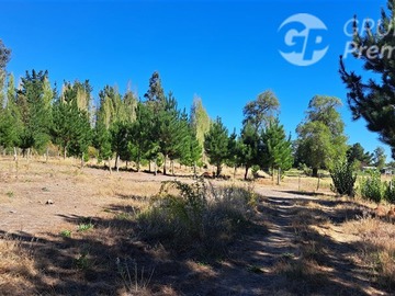 Venta / Terreno Agricola / Los Ángeles