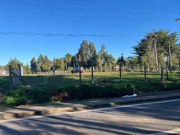 Imagen 37