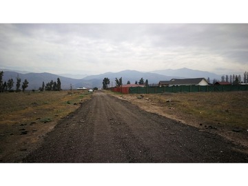 Venta / Terreno Agricola / Los Ángeles