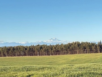 Venta / Terreno Agricola / Los Ángeles