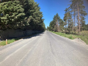 Venta / Terreno Agricola / Los Ángeles