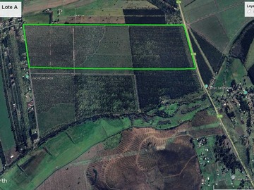 Venta / Terreno Agricola / Los Ángeles