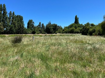 Venta / Terreno Agricola / Los Ángeles