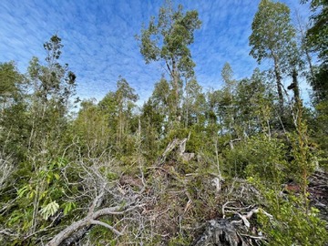 Imagen 9