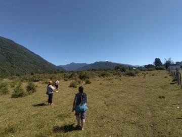 Imagen 6