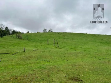 Venta / Terreno Agricola / Los Lagos