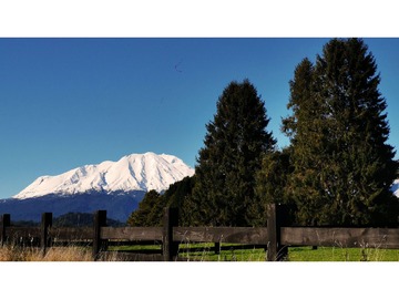 Venta / Terreno Agricola / Los Lagos
