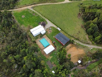 Venta / Terreno Agricola / Los Muermos