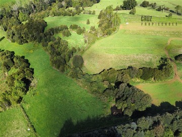 Venta / Terreno Agricola / Los Muermos