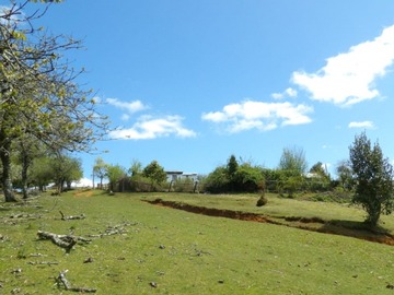 Venta / Terreno Agricola / Los Muermos