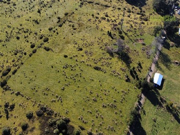 Venta / Terreno Agricola / Los Muermos