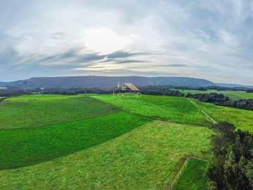Venta / Terreno Agricola / Los Muermos