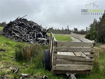 Imagen 11