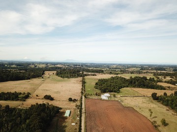 Venta / Terreno Agricola / Los Muermos