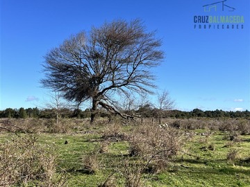 Imagen 8