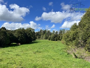 Imagen 8
