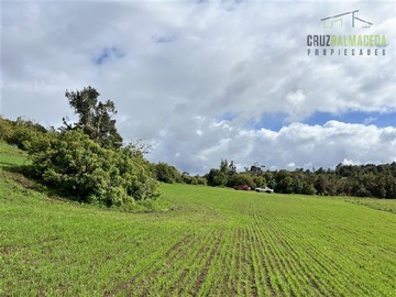 Venta / Terreno Agricola / Los Muermos