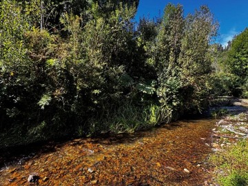 Imagen 8