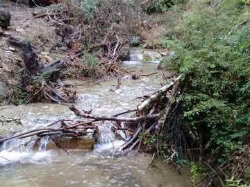Imagen 18