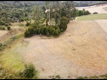 Venta / Terreno Agricola / Los Muermos