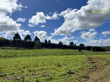 Imagen 20