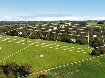 Venta / Terreno Agricola / Los Muermos