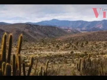 Imagen 9