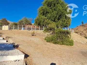 Venta / Terreno Agricola / Los Vilos