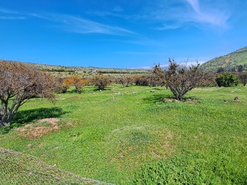 Imagen 8