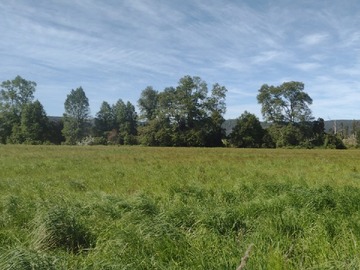 Venta / Terreno Agricola / Máfil