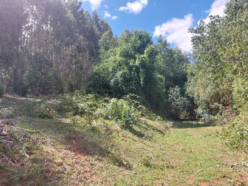 Venta / Terreno Agricola / Máfil