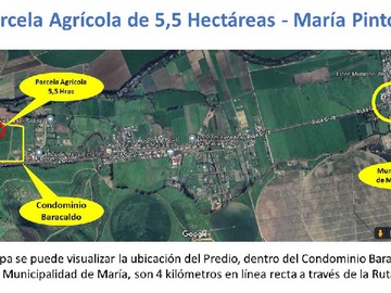 Venta / Terreno Agricola / María Pinto