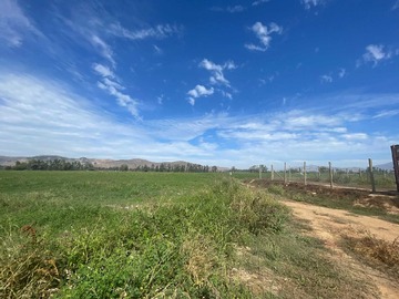 Venta / Terreno Agricola / María Pinto