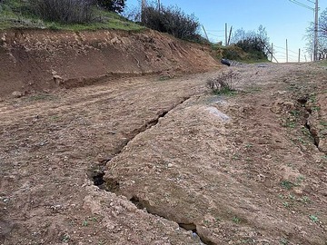 Venta / Terreno Agricola / Maule