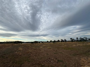 Venta / Terreno Agricola / Maule