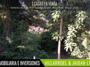 Imagen 12