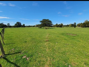 Venta / Terreno Agricola / Maullín